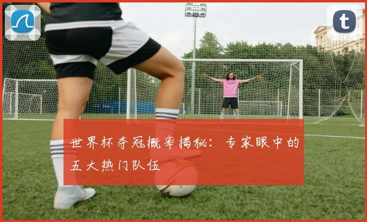 世界杯夺冠概率揭秘：专家眼中的五大热门队伍