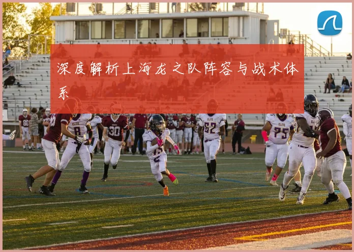 深度解析上海龙之队阵容与战术体系